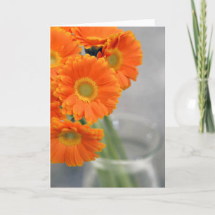 Tarjeta Little Philly Orange Daisy Photography en Blanco