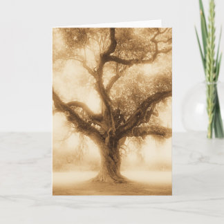 Tarjeta Live Oak - MW1100