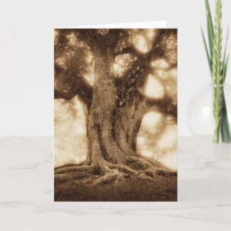 Tarjeta Live Oak - MW1101