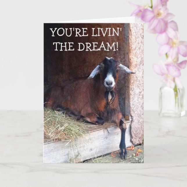 Tarjeta Livin' The Dream Funny Goat Birthday (Orquídea)