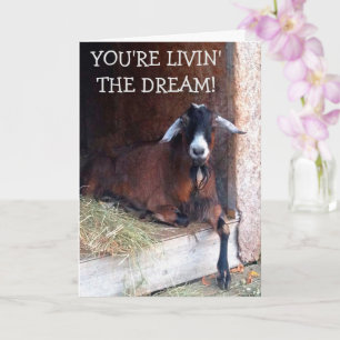 Tarjeta Livin' The Dream Funny Goat Birthday