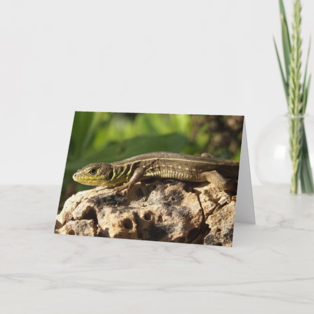 Tarjeta Lizard (Anverso)