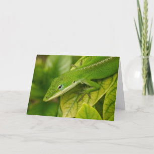Tarjeta Lizard GC 001