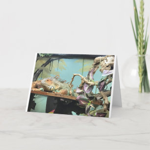 TARJETA LIZARDS DICE *CUÉNTAME* EN LA CELEBRACIÓN DEL CUMP