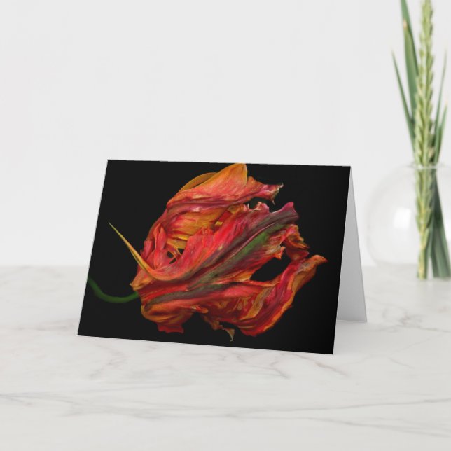 Tarjeta Llama (Anverso)