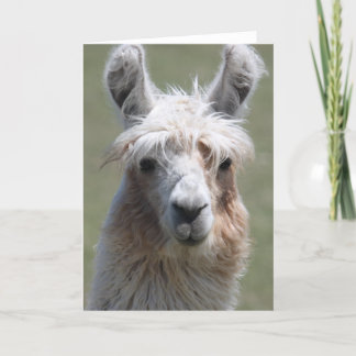 Tarjeta Llama