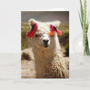 Tarjeta Llama, cumpleaños