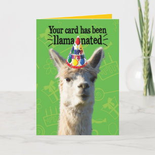 Tarjeta Llama divertida con Gorra Fiesta- Cumpleaños Llama