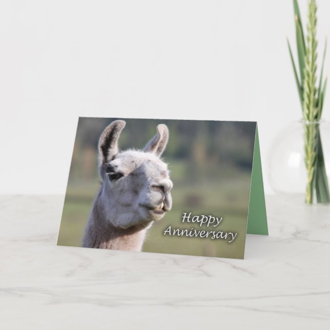 Tarjeta Llama feliz del aniversario del aniversario |Happy (Anverso)