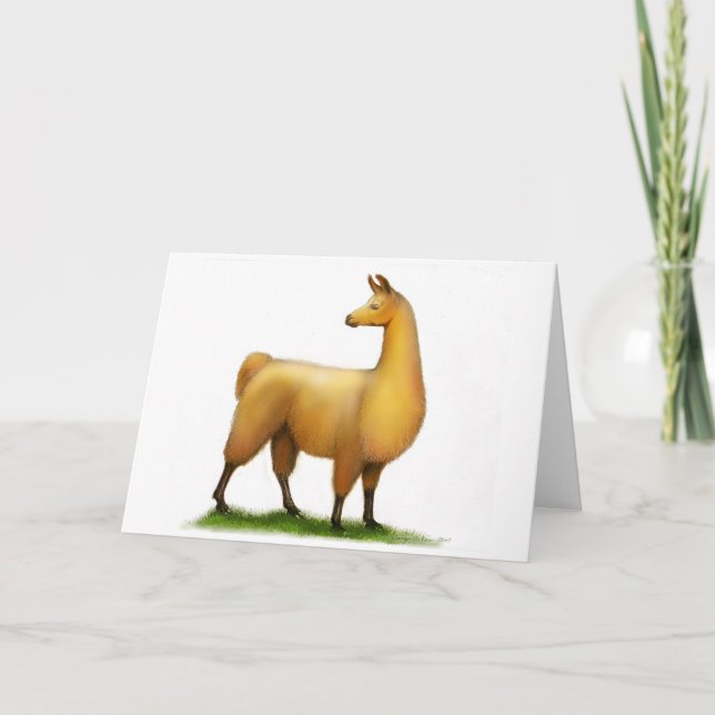 Tarjeta Llama peruana (Anverso)