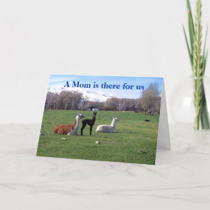 Tarjeta Llama y joven