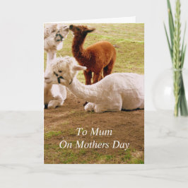 Tarjeta Llamas con el Día de la Madre de Cria del bebé