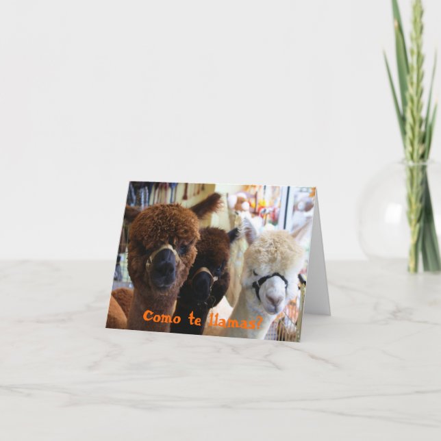 Tarjeta ¿Llamas del te de Como? Notecard (Anverso)