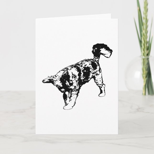 Tarjeta Llega alegría con el paso (Anverso)