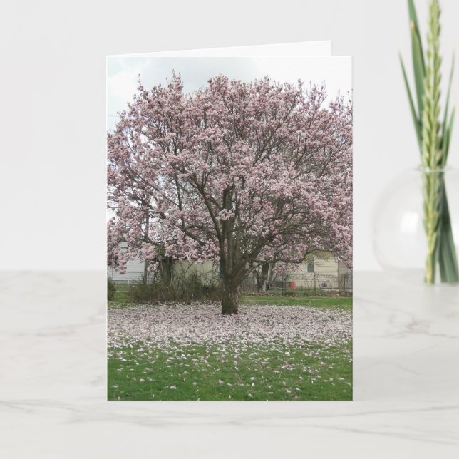 Tarjeta Llegada de primavera, árbol de tulipanes de magnol (Anverso)