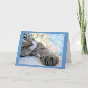 Tarjeta Llegar a un gato lindo, Mascota gatito