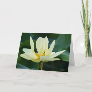 Tarjeta llena de Lotus