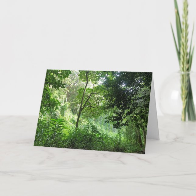 Tarjeta Lluvia en la selva tropical (Anverso)