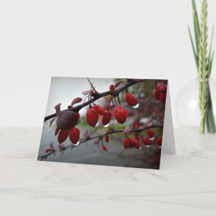 Tarjeta Lluvia en ramita