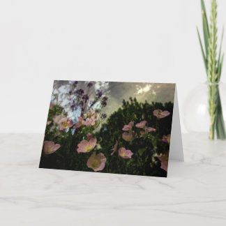 Tarjeta lo que florece en la carta de las sombras