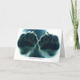 Tarjeta Lo que vieron debajo del hielo