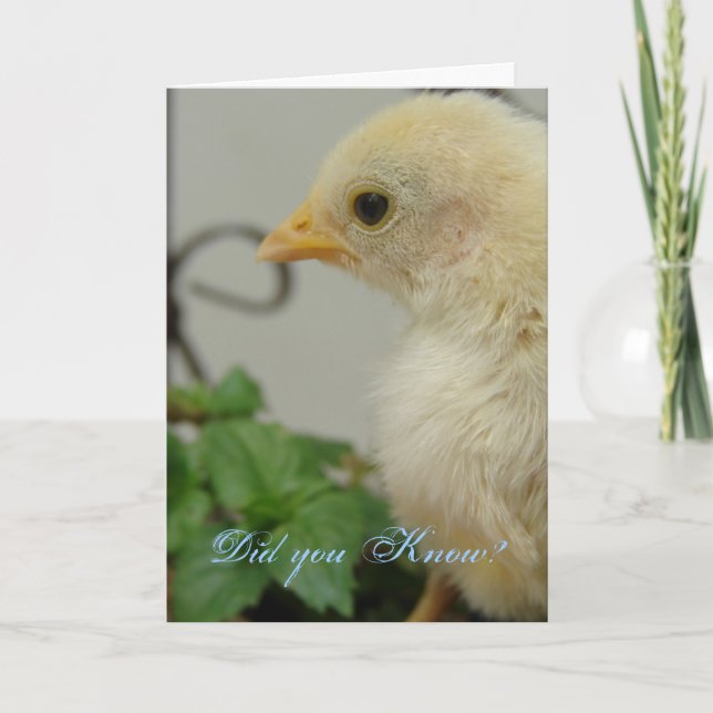 Tarjeta ¿Lo sabías? Una chica caliente, cumpleaños (Anverso)