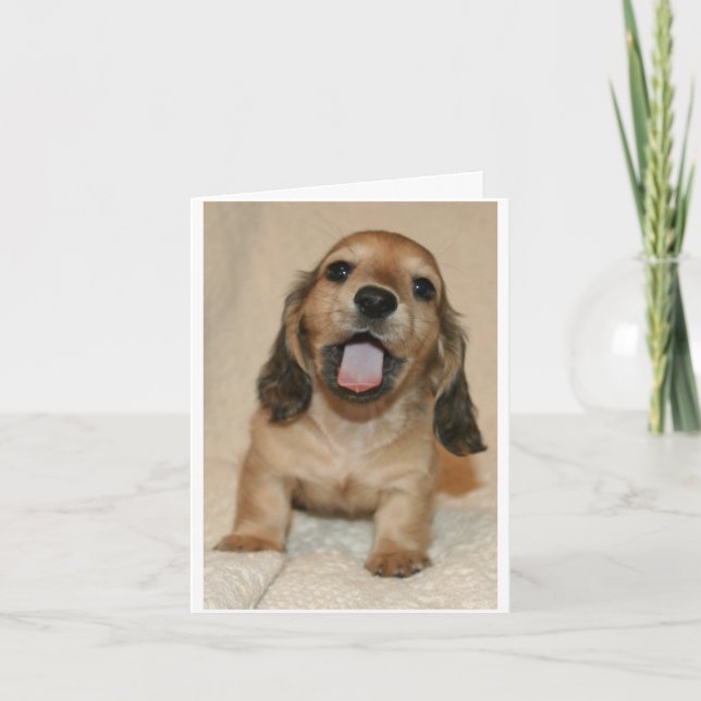 Tarjeta Lo siento (Anverso)