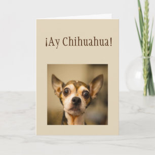 Tarjeta Lo siento ¡Ay Chihuahua! Divertido perro chihuahua
