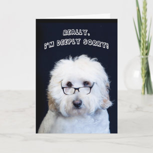 TARJETA LO SIENTO - HUMOR CON PERRO/GAFAS DE COLOR NEGRO