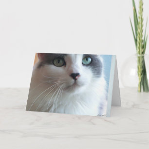 Tarjeta Lo siento Kitty con los ojos tristes