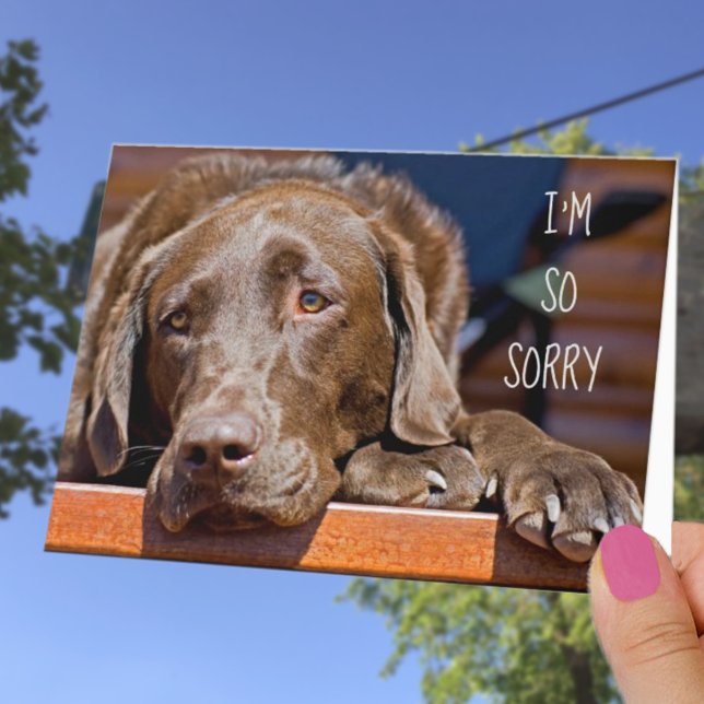 Tarjeta Lo siento Labrador Retriever Cumpleaños atrasado (Subido por el creador)