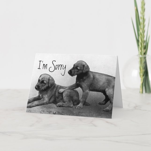 Tarjeta Lo siento - los amigos del perrito (Anverso)