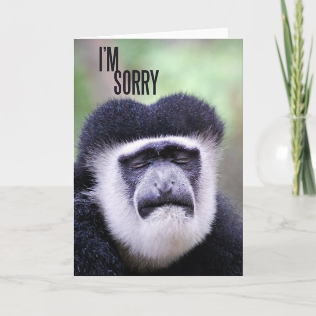 Tarjeta Lo siento Monkey (Anverso)