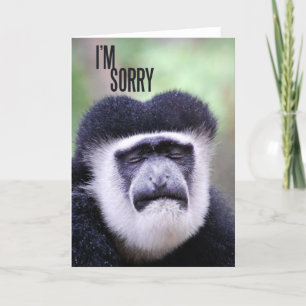 Tarjeta Lo siento Monkey