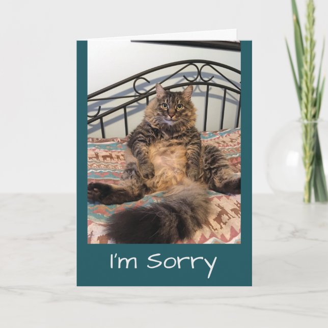 Tarjeta Lo Siento Mucho Por No Perdonar A Kimber Cat (Anverso)