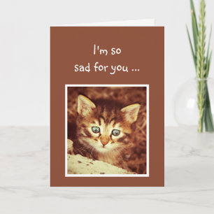Tarjeta Lo siento mucho por ti animal Motivador de gatitos