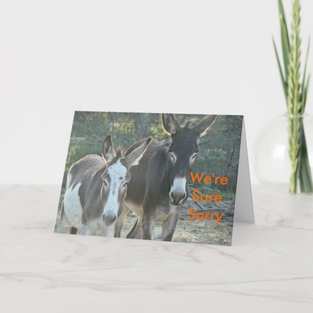 Tarjeta Lo siento Mules-personalizar (Anverso)