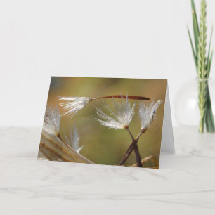 Tarjeta Lo siento por tu pérdida Diente de león con poema