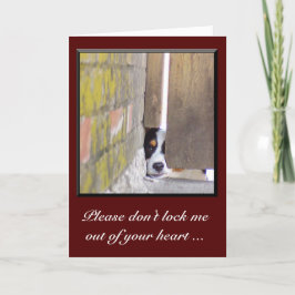 Tarjeta Lo siento, tarjeta... no me bloquees