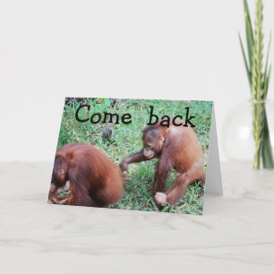 Tarjeta Lo siento: Volvamos juntos