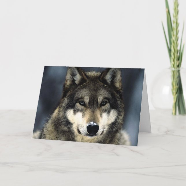 Tarjeta Lobo (Anverso)