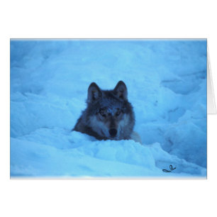 Tarjeta Lobo de Madera de Nieve Azul