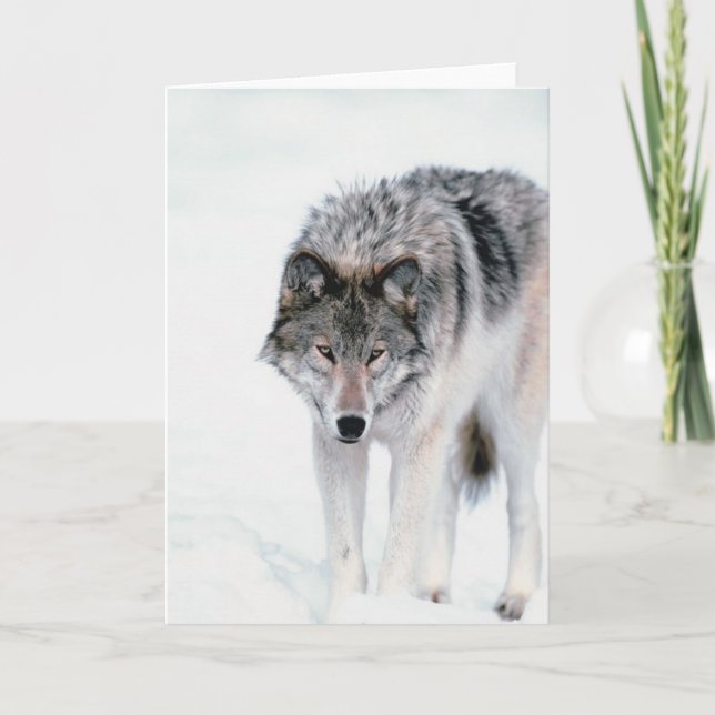 Tarjeta Lobo de vagabundeo (Anverso)