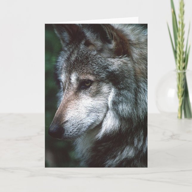 Tarjeta Lobo gris (Anverso)