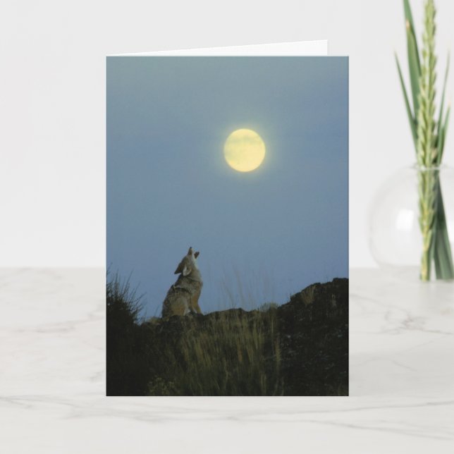Tarjeta Lobo que grita la Luna Llena (Anverso)