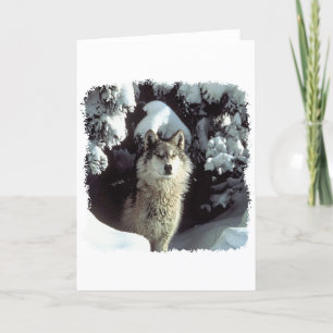 Tarjeta Lobos del lobo de la nieve