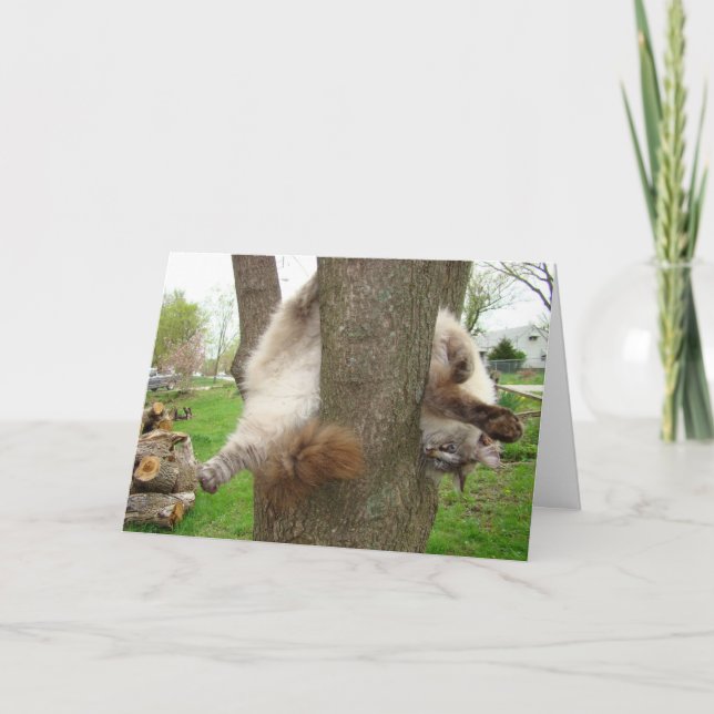 TARJETA LOCA DE LAS TARJETAS DEL DÍA DE SAN (Anverso)