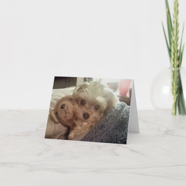 Tarjeta Lollipop Furiends Furever Notecard en blanco de (Anverso)