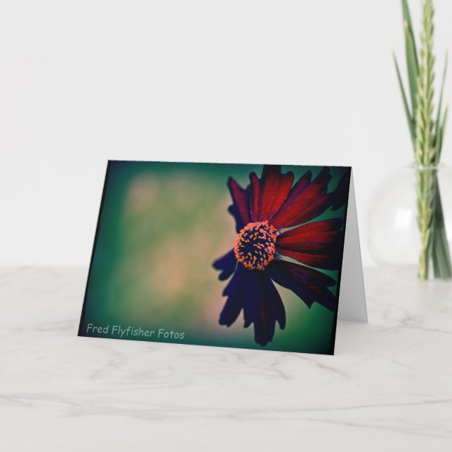 Tarjeta Lomo Daisy (Anverso)