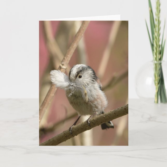 Tarjeta Long Tailed Tit with feather (Anverso)